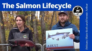 The Salmon Life Cycle - A Resource for Teachers and Students