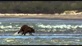 DisneyNature - Bears Trailer [1080p HD]