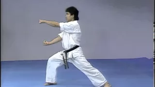 Kyokushin Kata