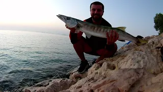 İnanılmaz Baracuda avı Mutasyona Uğramış.!!(Amazing Baracuda Hunt)