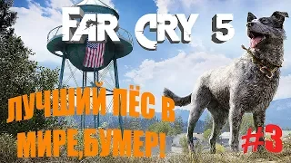 #3 FarCry5 - ЛУЧШИЙ В МИРЕ ПЁС,БУМЕР!