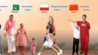 Tallest Women in the World from different countries 3D Comparison