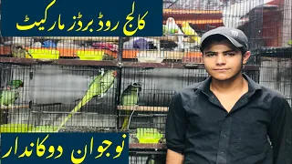 College road birds market Rawalpindi| birds shop@zakirhussainshah6234