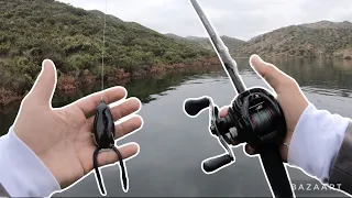 FROG FISHING FLOODED BRUSH