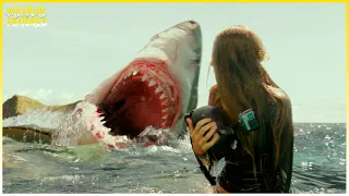 Great White Terror | The Shallows | Creature Features