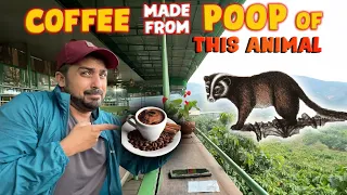 TRYING MOST EXPENSIVE COFFEE IN THE WORLD | ALL YOU NEED TO KNOW ABOUT COFFEE  | EP-11🇻🇳