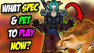 How BAD Was The Nerf & What Spec, Pet Do We Use Now?