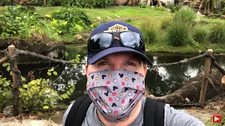 🔴Live:  (Test) Animal Kingdom Live Stream