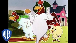 Looney Tunes en Latino | El Gallo Claudio en la granja | WB Kids