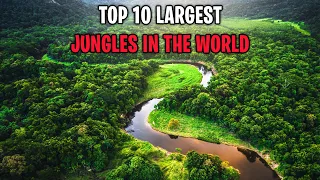 Top 10 Largest Jungles In The World