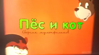 Открытие DVD-Диска Пёс и Кот. Сборник мультфильмов (1949-1988)