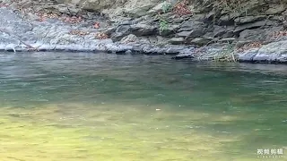 view of Tizu river (fishing)😎✌️