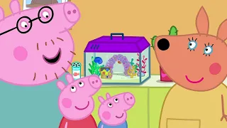 Peppa Learns About Recycling 🐷 We Love Peppa Pig