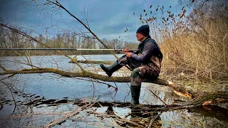 Жирна ПЛОТВА ПРЁТ КОСЯКАМИ! ЛОВЛЮ С ДЕРЕВА НА БОКОВИЙ КІВОК!