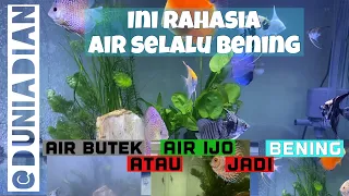 CARA AGAR AIR AQUARIUM BENING TERUS | Gak Butek, Gak Ijo Lumutan