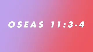 Oseas 11:3-4