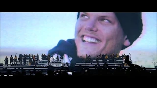 Avicii Tribute Concert - Levels