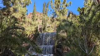 Gran Canaria plants and adventures including the GC200 & Palmitos Park