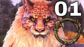 PRISONER OF FATE - The Elder Scrolls Online - GOLD ROAD - ASHER PRINCE - Part 1