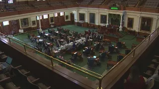 Experts testify about mental health, gun restrictions during Texas Senate special committee hearing