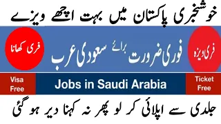 Free visa ticket gulf jobs | whatsapp apply | Free food +laundry | today all news gulf jobs ad