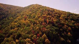 Jim Thorpe PA Drone View of Fall Foliage 2022