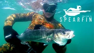 Spearfishing Giant Bass | Spearfishing UK | Catch and Cook (Ep 4)