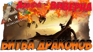 МОЯ ВИВЕРНА ПРОТИВ АЛЬФА - ВИВЕРНЫ!!! | ДОБЫЧА ДЕРЕВА | ARK: Survival Evolved. Scorched Earth.