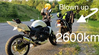 CFMOTO 800MT engine blowing up, Couldn’t stop laughing