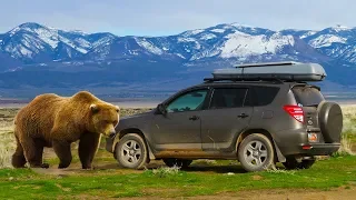 Tips for Car Camping in Bear Country (and Sleeping in Your Car!)