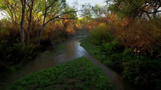 The Sonoran Institute on efforts to protect the Santa Cruz River