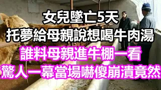 女兒墜亡5天，托夢給母親說想喝牛肉湯，誰料母親進牛棚一看，驚人一幕當場嚇傻崩潰，竟然...#淺談人生#民間故事#為人處世#生活經驗#情感故事#養老#花開富貴#深夜淺讀#幸福人生#中年#老年