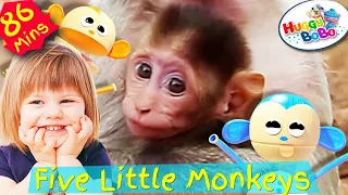 Five Little Monkeys SingAlong + Lots More Nursery Rhymes | 3D Animation | Nursery Rhymes | HuggyBoBo