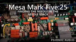 Mesa Mark Five:25 | Finding The Needle In The Needle Stack