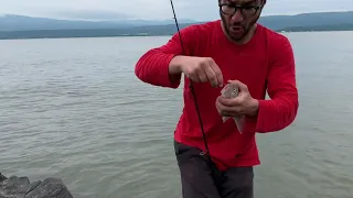 When You Catch A Fish, And Only Have A Four-Year-Old For A Cameraman