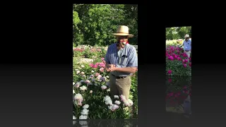 A Tour of the University of Michigan Nichols Arboretum Peony Garden