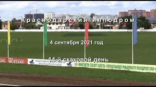 Видео 14 скаковой день   04 09 2021г  Краснодарский ипподром