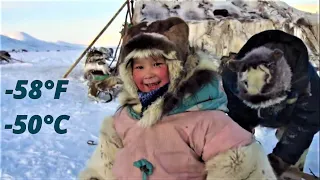 north nomads life in brutal cold with kids and reindeer