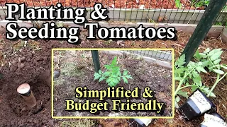 How to Plant and Seed Tomatoes: Simplified, Budget Friendly, & All You Need to Know to Get Started