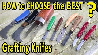 Grafting Fruit Trees | HOW to Choose the BEST GRAFTING KNIFE?