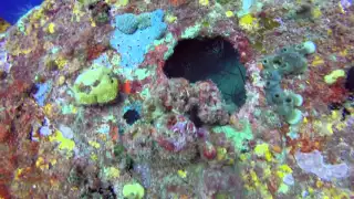 Grenada Buccaneer wreck