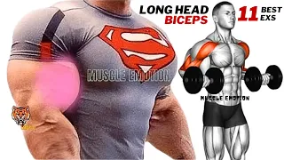 11 BEST BICEPS WORKOUT ( LONG HEAD ) WITH DUMBBELLS ONLY  AT HOME TO GET BIGGER ARMS FAST