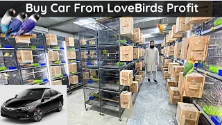 Tour of HS Aviary|| LoveBirds Breeding Aviary|| Birds Business Profit|| Birds Farming.. Part 2