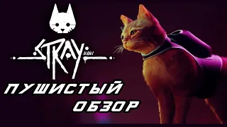 STRAY. Пушистый обзор ИГРЫ ГОДА 2022