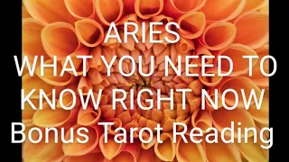 ARIES WHAT YOU NEED TO KNOW RIGHT NOW Bonus Tarot Reading