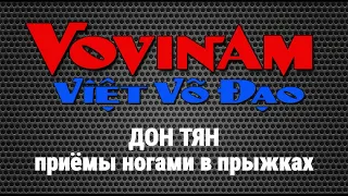 Don Chan Vovinam in Fight of Competitions / Дон Тяны - "Ножницы" Вовинам на турнирах