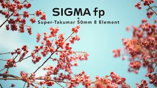 【Tokyo Photography】Super-Takumar 50mm 8 Element with SIGMA fp