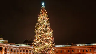 Главную ель Санкт-Петербурга начали украшать к Новому году на Дворцовой площади