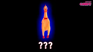 Rubber Chicken Sound Variations in 40 Seconds