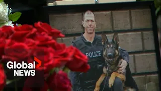 Toronto police honour fallen K9, Bingo: "Forever my hero"